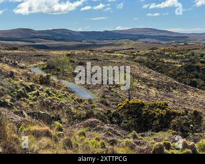 Collines ondulantes dans le Connemara Irlande Banque D'Images