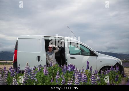 Femme dans un camping-car dans un champ de lupins en Islande Banque D'Images