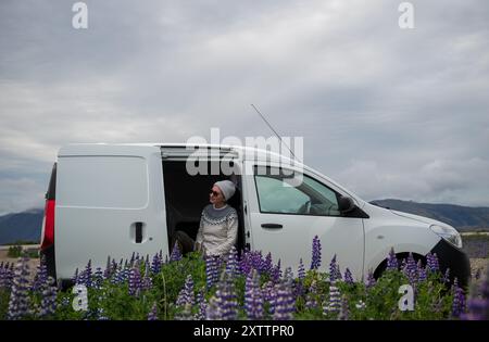 Femme dans un camping-car dans un champ de lupins en Islande Banque D'Images