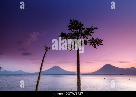 Amarrages traditionnels et volcans d'Atitlan 3537 M. et San Pedro 3020 M. Lac Atitlan, département de Sololá, République du Guatemala, Amérique centrale Banque D'Images