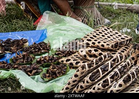 Perungo, un sac fourre-tout en osier pour contenir du poisson séché au Haat Bazaar à Tumlingtaar, district de Sankhuwasabha, Népal. Banque D'Images