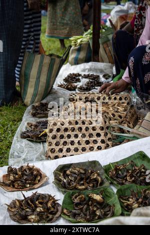 Perungo est un panier en osier tissé à la main, sur les photos, il est comme un sac à main pour transporter du poisson séché. Tumlingtaar, district de Sankhuwasabha, Népal. Banque D'Images