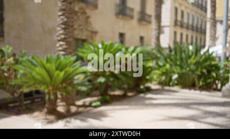 Scène extérieure floue avec effet bokeh avec plantes verdoyantes et architecture ancienne dans un cadre urbain ensoleillé Banque D'Images