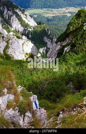 Vue au nord depuis la crête de Piatra Craiului, Roumanie Banque D'Images