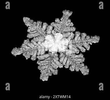 Plan macro d'un flocon de neige unique avec des motifs complexes sur fond noir. Banque D'Images