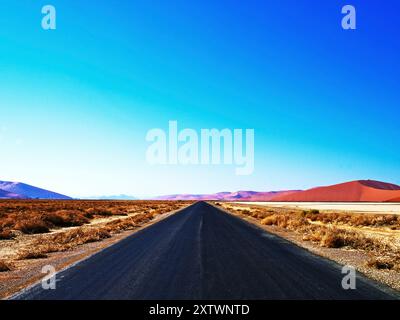 Une route vide s'étend vers un horizon flanqué de dunes de sable rouge sous un ciel bleu clair. Banque D'Images