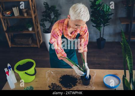 Photo de Shiny Happy Age femme habillé tablier semant pots plantes à l'intérieur du lieu de travail à domicile Banque D'Images