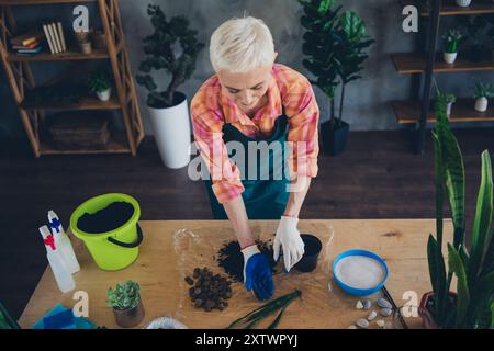 Photo de Shiny Happy Age femme habillée tablier rempotage plantes à l'intérieur du lieu de travail à domicile Banque D'Images
