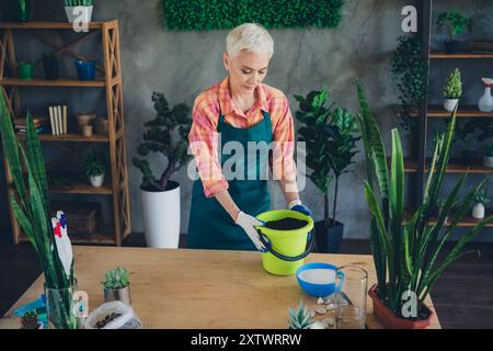 Photo de brillante femme Happy Age habillé tablier rassemblant des plantes préparant le sol à l'intérieur du lieu de travail à domicile Banque D'Images