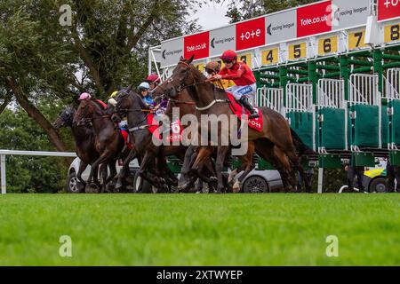 Windsor, Royaume-Uni. 15 août 2024. Les chevaux quittent les stalles du Tote Placepot Leg 4 Racing League 25 handicap Stakes (Class 4) (pour les chevaux sous la garde des entraîneurs inscrits à la Racing League) lors de la réunion de la Racing League au Royal Windsor Racecourse, Windsor, Berkshire. Crédit : Maureen McLean/Alamy Live News Banque D'Images