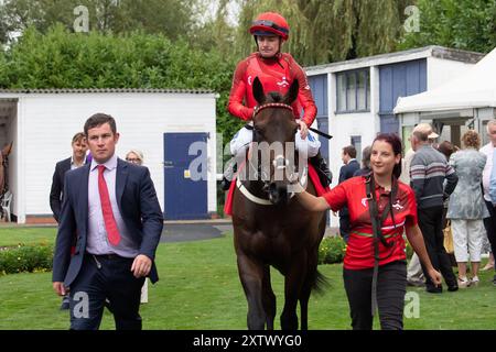 Windsor, Royaume-Uni. 15 août 2024. NIGHT BREEZE piloté par le jockey Kieran O'Neill remporte le Tote Placepot Leg 4 Racing League 25 handicap Stakes (Class 4) (pour les chevaux pris en charge par les entraîneurs inscrits à la Racing League) pour le pays de Galles et l'Ouest lors de la réunion de la Racing League au Royal Windsor Racecourse, Windsor, Berkshire. Propriétaire Midtech 2, entraîneur Ian Williams, Alvechurch, éleveur Godolphin. Crédit : Maureen McLean/Alamy Live News Banque D'Images