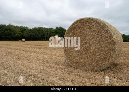 Rouler des balles de foin dans la campagne anglaise. Banque D'Images