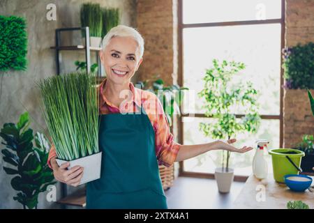 Photo de Shiny Happy Age femme habillée tablier rassemblant des plantes vous invitant à l'intérieur du lieu de travail à domicile Banque D'Images