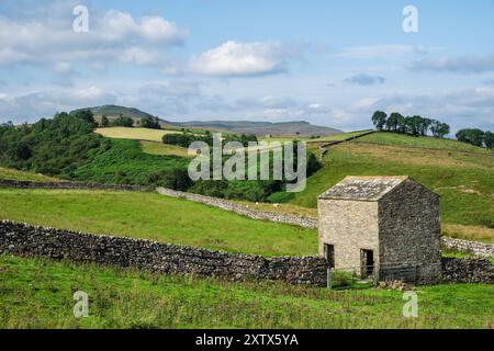 Une grange typique des Yorkshire Dales près de Bainbridge, Wensleydale, North Yorkshire Banque D'Images