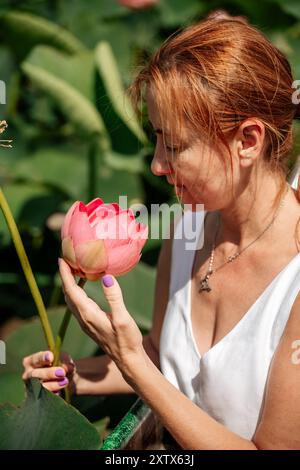 Une femme est assise dans un bateau dans un champ de fleurs de lotus roses/ Banque D'Images