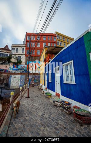 Valparaiso, Chili - 08 mars 2020 : bâtiments multicolores avec peinture lumineuse sur la rue Banque D'Images