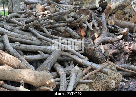 Pile de troncs d'arbres coupés et de branches disposées ensemble en branches d'arbres séchées empilées à l'avant, empilées les unes sur les autres, branches d'arbres à utiliser comme f Banque D'Images