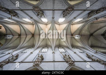 Voûte nervurée dans la nef de Salem Minster, Salem, lac de Constance, district du lac de Constance, Bade-Wuertemberg, Allemagne, Europe Banque D'Images