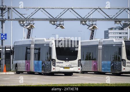 Station de recharge rapide pour bus électriques à l'aéroport d'Amsterdam Schiphol, toute la flotte des bus de transport de passagers est électrique, plus de 200 véhicules, Banque D'Images