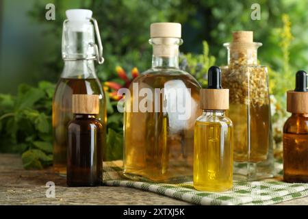 Différentes teintures en bouteilles et herbes médicinales sur table en bois Banque D'Images