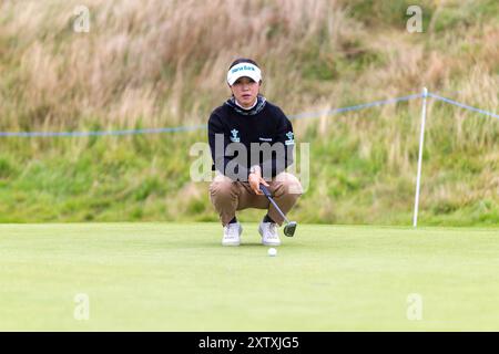 North Ayrshire, Écosse. 16 août 2024. La championne olympique Lydia Ko a aligné un putt lors de sa 2e manche de l’ISPS HANDA Women’s Scottish Open 2024 à Dundonald Links. Crédit : Tim Gray/Alamy Live News Banque D'Images