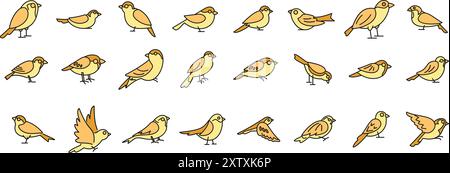 Ensemble d'illustrations de petits oiseaux avec des plumes jaunes dans différentes poses Illustration de Vecteur