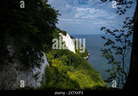 Sassnitz, Allemagne. 16 août 2024. Les touristes visitent la passerelle Skywalk sur les falaises du parc national de Jasmund près de Sassnitz sur l'île de Rügen sur le terrain du parc national de Königsstuhl. Cette année, le Centre du parc national de Königsstuhl, lieu d'origine de la peinture de Caspar David Friedrich « falaises de craie sur Rügen », accueille des journées romantiques d'une semaine du 19 au 25 août. Crédit : Stefan Sauer/dpa/Alamy Live News Banque D'Images