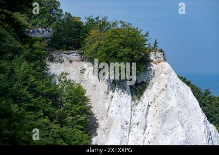 Sassnitz, Allemagne. 16 août 2024. Les touristes visitent la passerelle Skywalk sur les falaises du parc national de Jasmund près de Sassnitz sur l'île de Rügen sur le terrain du parc national de Königsstuhl. Cette année, le Centre du parc national de Königsstuhl, lieu d'origine de la peinture de Caspar David Friedrich « falaises de craie sur Rügen », accueille des journées romantiques d'une semaine du 19 au 25 août. Crédit : Stefan Sauer/dpa/Alamy Live News Banque D'Images