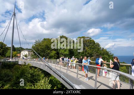 Sassnitz, Allemagne. 16 août 2024. Les touristes visitent la passerelle Skywalk sur les falaises du parc national de Jasmund près de Sassnitz sur l'île de Rügen sur le terrain du parc national de Königsstuhl. Cette année, le Centre du parc national de Königsstuhl, lieu d'origine de la peinture de Caspar David Friedrich « falaises de craie sur Rügen », accueille des journées romantiques d'une semaine du 19 au 25 août. Crédit : Stefan Sauer/dpa/Alamy Live News Banque D'Images