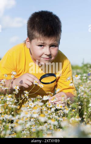 Garçon voit des fleurs à travers la loupe Banque D'Images