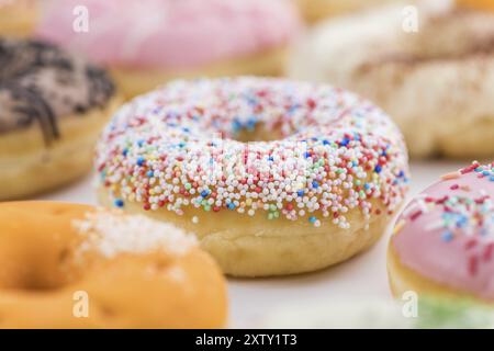 Portion de certains Donuts en gros plan détaillé (fraîche, mise au point sélective) Banque D'Images