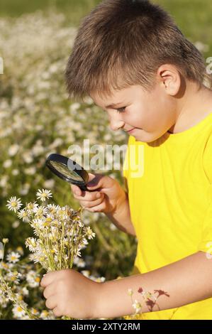 Garçon voit des fleurs à travers la loupe Banque D'Images