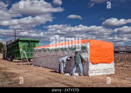 Balle de coton de 18 000 livres - récolte de coton - Marana, Arizona Banque D'Images