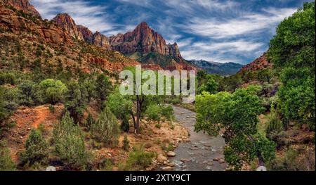 Lumière de l'après-midi sur la rivière Virgin - parc national de Zion Utah Banque D'Images