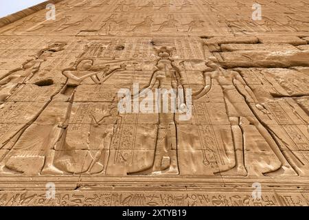 Complexe du temple Dendera (Denderah), temple Hathor, mur extérieur occidental avec reliefs, gouvernorat de Qena, Égypte, Afrique du Nord, Afrique Banque D'Images