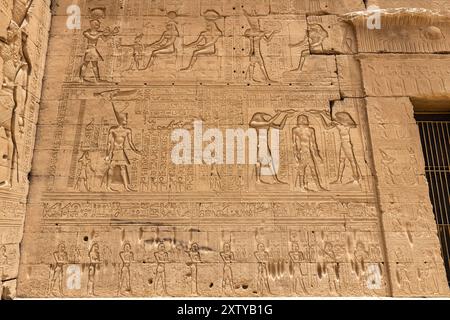 Complexe du temple Dendera (Denderah), temple Hathor, mur extérieur occidental avec reliefs, gouvernorat de Qena, Égypte, Afrique du Nord, Afrique Banque D'Images