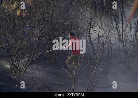 Un pompier éteint un incendie de forêt dans la région de Marathon après l'incendie dévastateur qui a éclaté dans l'est de l'Attique, à Athènes, en Grèce. Banque D'Images