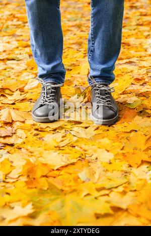 Jambes d'homme portant des chaussures élégantes et un Jean décontracté debout sur le sol recouvert de feuilles jaunes d'automne Banque D'Images