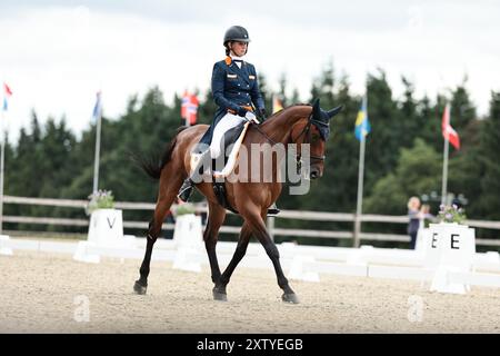 Renske KROEZE des pays-Bas avec Korella van de Watermolen lors du dressage du CCIO4*-NC-S · Prix Adeps au concours complet International d'Arville le 16 août 2024, Gesves, Belgique (photo de Maxime David - MXIMD Pictures) crédit : MXIMD Pictures/Alamy Live News Banque D'Images