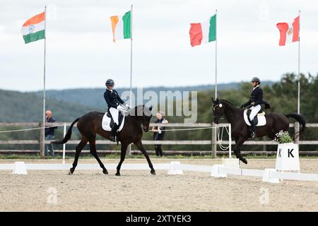 Molly EVANS d'Irlande avec Wellan Graffiti lors du dressage du CCIO4*-NC-S · Prix Adeps au concours complet International d'Arville le 16 août 2024, Gesves, Belgique (photo de Maxime David - MXIMD Pictures) crédit : MXIMD Pictures/Alamy Live News Banque D'Images