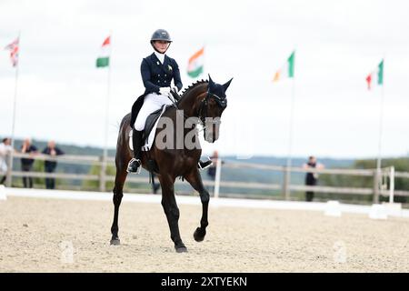 Molly EVANS d'Irlande avec Wellan Graffiti lors du dressage du CCIO4*-NC-S · Prix Adeps au concours complet International d'Arville le 16 août 2024, Gesves, Belgique (photo de Maxime David - MXIMD Pictures) crédit : MXIMD Pictures/Alamy Live News Banque D'Images