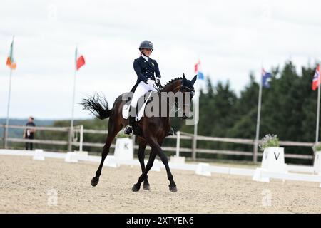 Molly EVANS d'Irlande avec Wellan Graffiti lors du dressage du CCIO4*-NC-S · Prix Adeps au concours complet International d'Arville le 16 août 2024, Gesves, Belgique (photo de Maxime David - MXIMD Pictures) crédit : MXIMD Pictures/Alamy Live News Banque D'Images