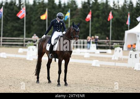 Molly EVANS d'Irlande avec Wellan Graffiti lors du dressage du CCIO4*-NC-S · Prix Adeps au concours complet International d'Arville le 16 août 2024, Gesves, Belgique (photo de Maxime David - MXIMD Pictures) crédit : MXIMD Pictures/Alamy Live News Banque D'Images