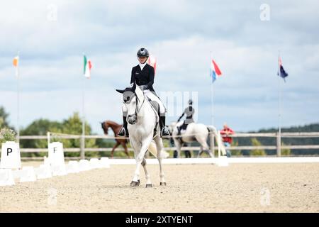 Julia KRAJEWSKI D'Allemagne avec Great Twist d'IVE Z lors du dressage du CCI3*-S · Prix Delen au concours complet International d'Arville le 16 août 2024, Gesves, Belgique (photo de Maxime David - MXIMD Pictures) crédit : MXIMD Pictures/Alamy Live News Banque D'Images