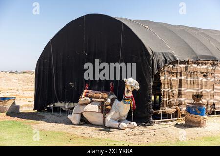 Chameau dans la journée chaude et Harran maisons dans le village Harran en arrière-plan, Sanliurfa, Turquie. Banque D'Images