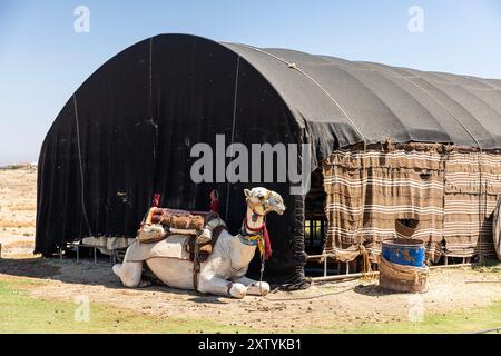 Chameau dans la journée chaude et Harran maisons dans le village Harran en arrière-plan, Sanliurfa, Turquie. Banque D'Images