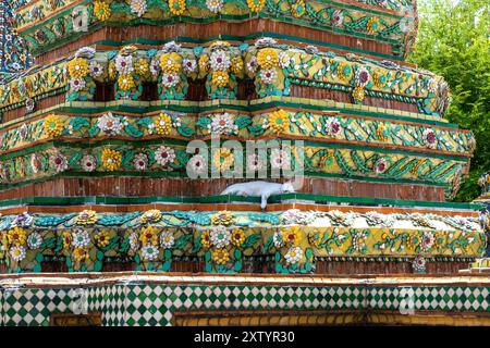 Un chat blanc endormi profitant d'un repos au temple pf le bouddha de repos, Bangkok. Banque D'Images