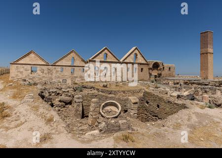 Ruines d'Ulu Cami (la Grande Mosquée) à Harran. Ce monument architectural est la plus ancienne mosquée d'Anatolie et a été construit au 8ème siècle. Ruines de th Banque D'Images