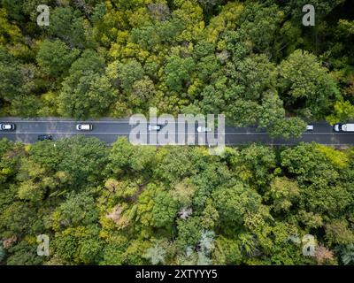 Vidéo de drone d'une voiture conduisant à travers une route sinueuse entourée d'une forêt verte dense. La vue aérienne sereine capture la beauté et la tranquillité de Banque D'Images