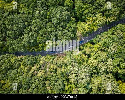 Vidéo de drone d'une voiture conduisant à travers une route sinueuse entourée d'une forêt verte dense. La vue aérienne sereine capture la beauté et la tranquillité de Banque D'Images